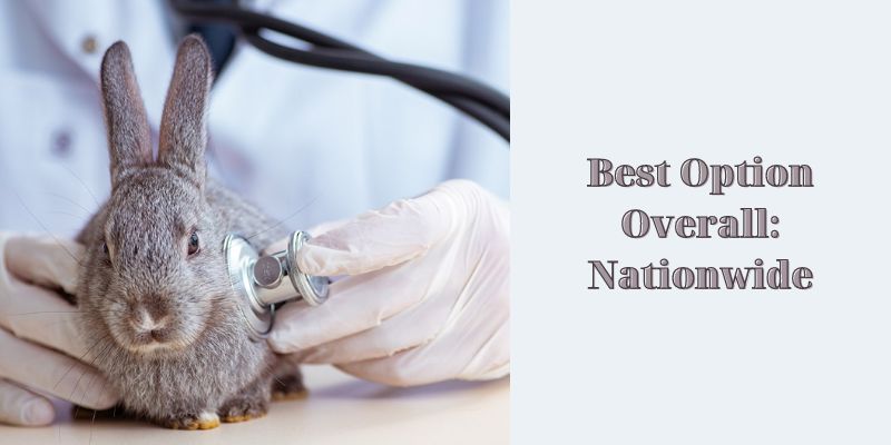 Best Option Overall: Nationwide - Pet Insurance for Rabbits