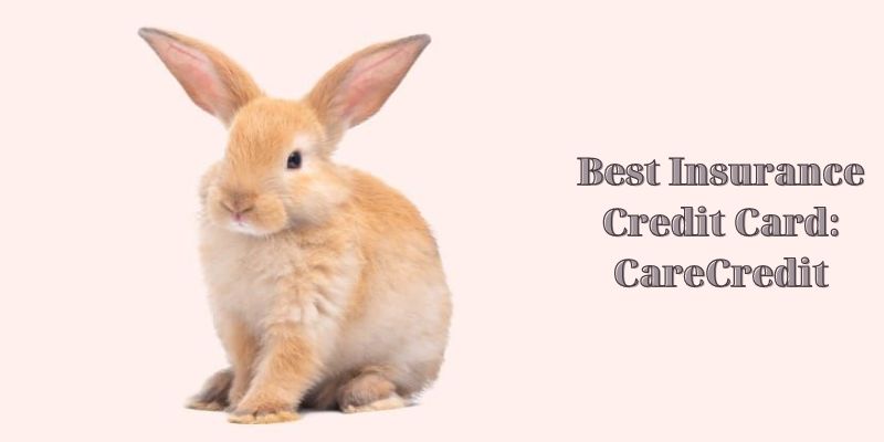 Best Insurance Credit Card: CareCredit - Pet Insurance for Rabbits