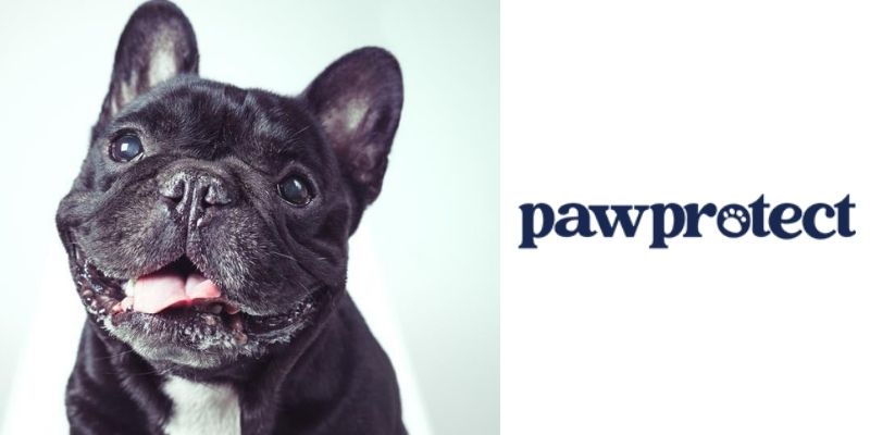Paw Protect - Best Pet Insurance For French Bulldogs 2023