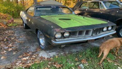 Photo of 1971 Plymouth Barracuda Flexes 383 HP Needs a Full Restoration.