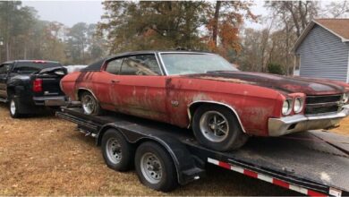 Photo of Chevrolet Chevelle SS Owned by a Woman for 45 Years Found in a Trailer Park