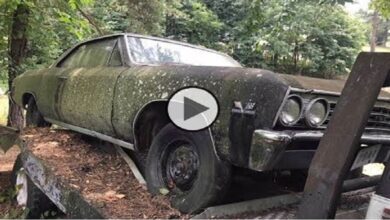 Photo of Long Lost Street Racing Legend 1967 Chevelle SS396 has been found.