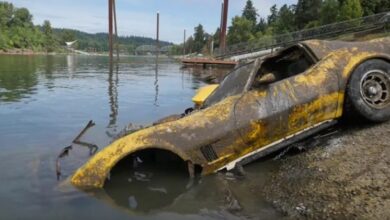 Photo of Missing Chevy Corvette C3 Recovered From Lake After 20 Years