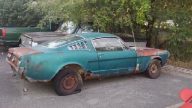 Photo of This 1965 Ford Mustang Looks Like It Needs Help Right Now.
