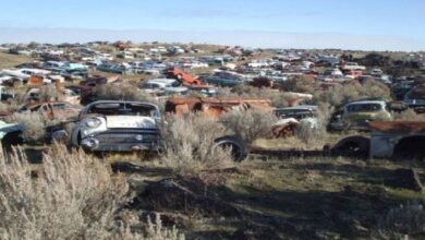 Photo of 80-Acre, 8,000 Car Idaho Junkyard.