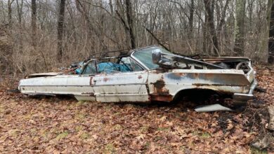 Photo of 1964 Chevrolet Impala Left to Rot in a Forest Proves Legends Never Give Up.