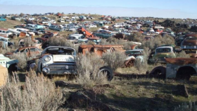 Photo of 80-Acre, 8,000 Car Idaho Junkyard – Show Up With $3,000,000 And You Own It!