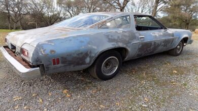 Photo of 1974 Chevrolet Chevelle Malibu Parked for Decades Flexes a Wrecked Corvette Engine.