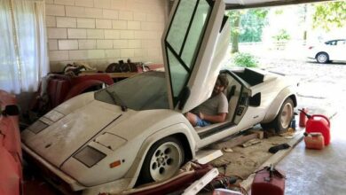 Photo of Abandoned Garage Filled With Lamborghinis, Ferrari, Porsche, ‘67 Shelby GT500… And That’s Not Even All.