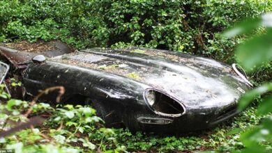 Photo of Classic Jaguar E-Type Saved From A Swamp Is Now Worth Over £100,000.