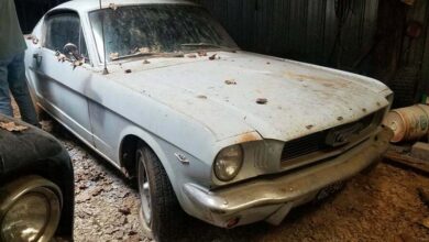 Photo of 1966 Ford Mustang Is a Barn Find Diehards Can’t Even Dream About…