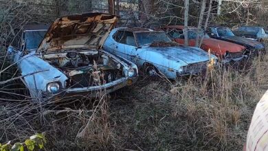 Photo of Video – Abandoned Amc Dealership Is Home To More Than 200 Classics – Muscle Cars Included
