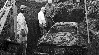 Photo of Rescue 1974 Ferrari Dino Buried In A Coffin In A Thief’S Backyard.