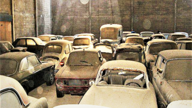 Photo of Fake Story, Real Find: 180 Classics Lie In A Warehouse And Their Fate Remains A Mystery.
