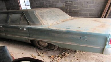Photo of 1966 Plymouth Belvedere Last Driven 34 Years Ago May Never Get a Second Chance.