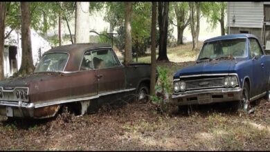 Photo of 63 Chevy Impala 2-Door And ’66 Chevy Malibu 2-Door Were Found Rotting In The Woods.