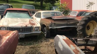 Photo of Massive Musclecar Barn Find Cars And Parts Hoard Found In Iowa.
