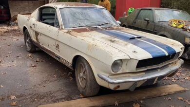 Photo of 1965 Shelby Mustang GT350 Stored for Decades in Abándoned House.