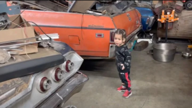 Photo of This Two-Year-Old Knows About His Father’S Muscle Cars And Has Identified Many Classic Cars In The Collection, Including A Chevrolet Chevelle And A Chevy Impala.