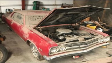 Photo of The Most Original 1965 Z16 SS396 Chevelle Found Parked For 48 Years In Kansas!