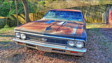 Photo of Backyard Survivor ’66 Chevelle SS396 Four-Speed Found in North Carolina.