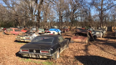 Photo of “Field Of Dreams” – Where Abandoned Cars Are Full Of 1St Generation Muscle Cars And Muscle Cars.