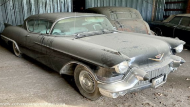 Photo of The Cadillac Eldorado Is A Special Car, But Does It Warrant Such A High Price?