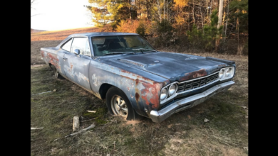 Photo of This Cool 1968 Roadrunner 383 Sits All Alone Waiting For Its Rescue.