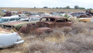 Photo of Five Great Scrap Yards To Find Muscle Cars And Other Classics.