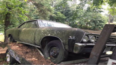 Photo of Found Chevelle Ss 396 Lost After Street Race 1967 Parked On Trailer At Salvage Yard!!