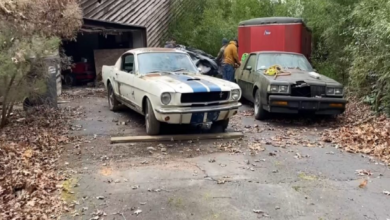 Photo of Shelby Mustang Gt350 Has Been Stored In An Abandoned House For Decades.