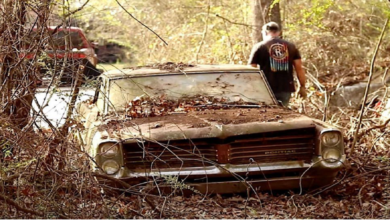 Photo of After decades of sitting under roots and vines this 1964 Pontiac Catalina is ready to make another appearance on the road.