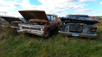 Photo of Huge Field Junkyard Is Packed with Rusty Classics, Many Chevrolet Impalas.