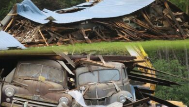 Photo of Collapsed Barn Reveals 36 Muscle Cars: Many Of The Muscle Cars Were Damaged.