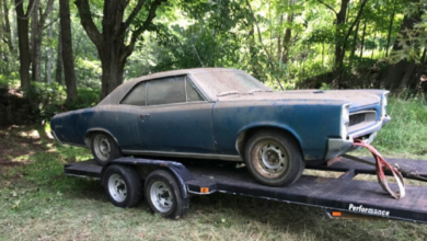 Photo of 1966 Pontiac GTO 389 4spd Barn Find – Sitting For Over 25 Years.