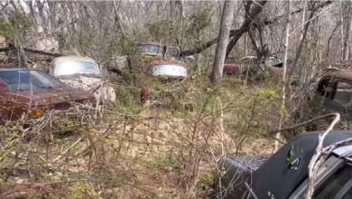 Photo of Secret Classic Car Graveyard Hidden In The Woods.