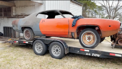 Photo of Can’t Resist Rescuing Two Abandoned Mopars In Need.