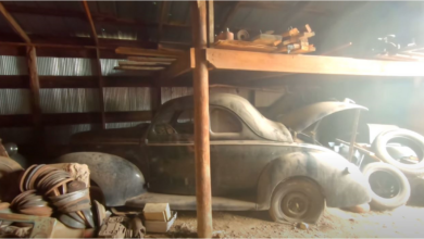 Photo of Pre-War Ford Barn Finds Will Make You Think.