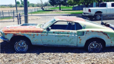 Photo of Reader Sighting: 1969 Ford Mustang Mach 1.