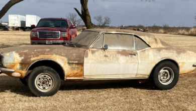 Photo of Rescued From Texas Barn: 1967 Chevrolet Camaro.