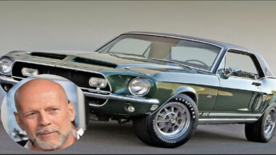 Photo of 10 Celebs Who Drive The Sickest Mustangs (5 Who Need To Upgrade).