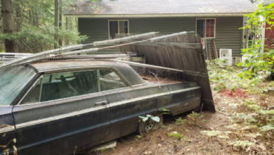 Photo of 1964 Chevrolet Impala SS Found Abandoned In A Forest – Looks Like The ”Titanic Of Classic Cars”.