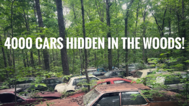 Photo of There Are 4000 Vehicles Hidden On This Property.