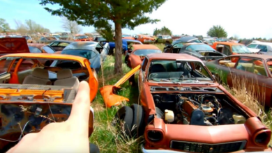 Photo of This Muscle Car Junkyard Is Astounding