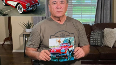 Photo of Corvette May Return Disappear, Impossible! Rich Martinez Might Get His 1959 Chevy Corvette Back