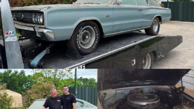 Photo of All-Original 1966 Dodge Hemi Charger Wakes Up To Life After 33 Years, Pack NASCAR Add-On