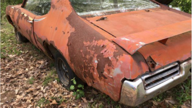 Photo of Here Are Some Infuriating Photos Of Perfect American Muscle Cars Rotting Away.