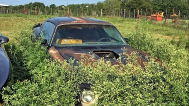 Photo of Very Rare 1976 Limited Edition Trans Am Coupe 455 LE Found In Weeds.