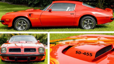 Photo of The Last Performance Pony Car From Muscle’s Golden Age – 1974 Pontiac Super Duty Trans Am