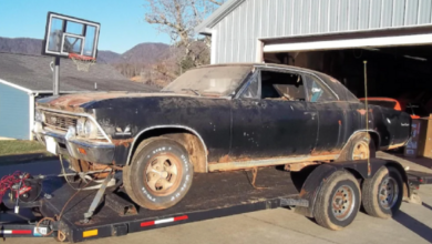 Photo of Street-Race Legend 1966 Chevrolet Chevelle SS396 Is A Barn Find After Over 30 Years
